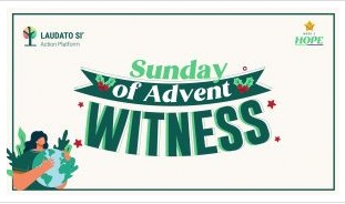 Sunday of Advent - Pope